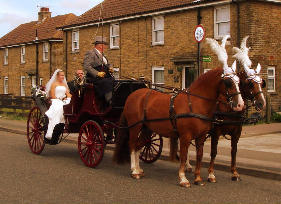 croppedpictureayleshamwedding.jpg