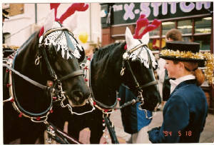 scan0007.jpg