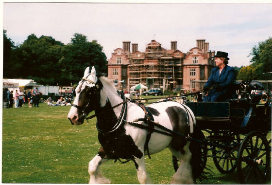 scan0014.jpg